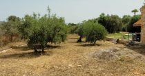 Finca Legal con Piscina