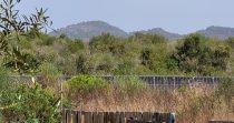Finca Legal con Piscina