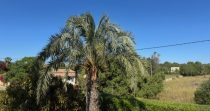 ¡Descubre esta encantadora finca rústica en venta en Son Servera!