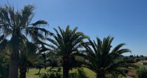 ¡Descubre esta encantadora finca rústica en venta en Son Servera!