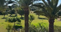 ¡Descubre esta encantadora finca rústica en venta en Son Servera!