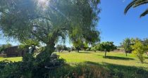 ¡Descubre esta encantadora finca rústica en venta en Son Servera!