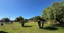 ¡Descubre esta encantadora finca rústica en venta en Son Servera!