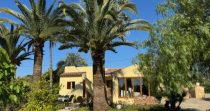 ¡Descubre esta encantadora finca rústica en venta en Son Servera!