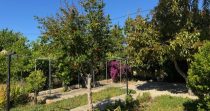 ¡Descubre esta encantadora finca rústica en venta en Son Servera!