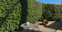 ¡Descubre esta encantadora finca rústica en venta en Son Servera!