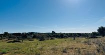 **Land for Sale on the Outskirts of Porto Cristo – Ideal for Your Dream Project**