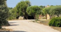 Romantica Finca cerca de la escuela de Rafa Nadal – Manacor