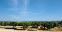 Romantica Finca cerca de la escuela de Rafa Nadal – Manacor