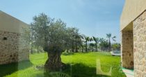 Romantica Finca cerca de la escuela de Rafa Nadal – Manacor