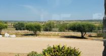 Romantica Finca cerca de la escuela de Rafa Nadal – Manacor