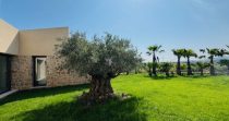 Romantica Finca cerca de la escuela de Rafa Nadal – Manacor