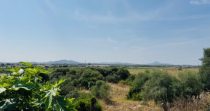 Romantica Finca cerca de la escuela de Rafa Nadal – Manacor